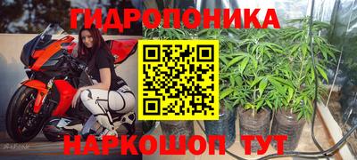 МДПВ Лесосибирск