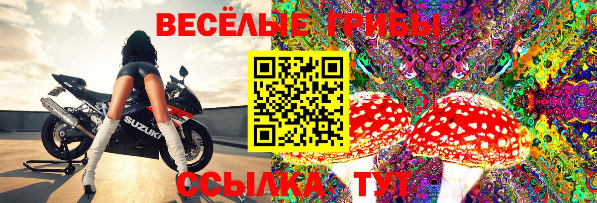 Псилоцибиновые грибы Magic Shrooms  Вход с VPN  Псилоцибиновые грибы мухоморы  Воркута 